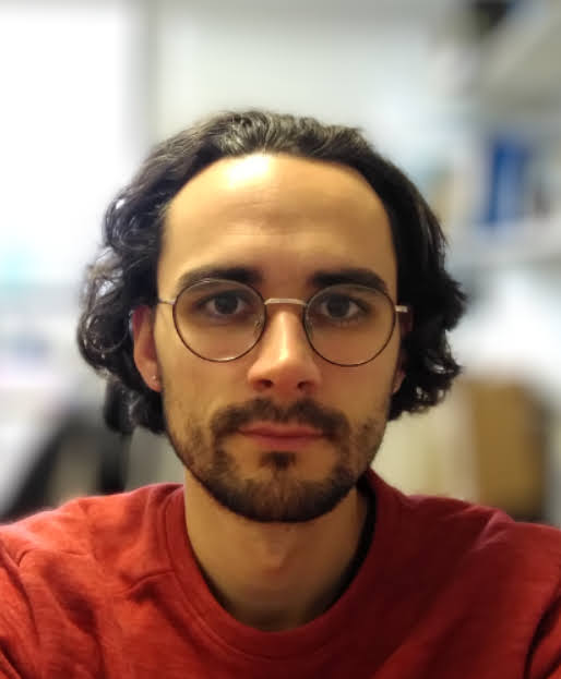 Picture of Daniel Thédié